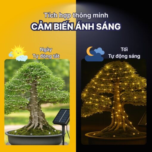 Dây LED Hạt Gạo Sáng RGB Năng Lượng Mặt Trời Trang Trí Ngoài Trời - DSV01B - Ảnh 5